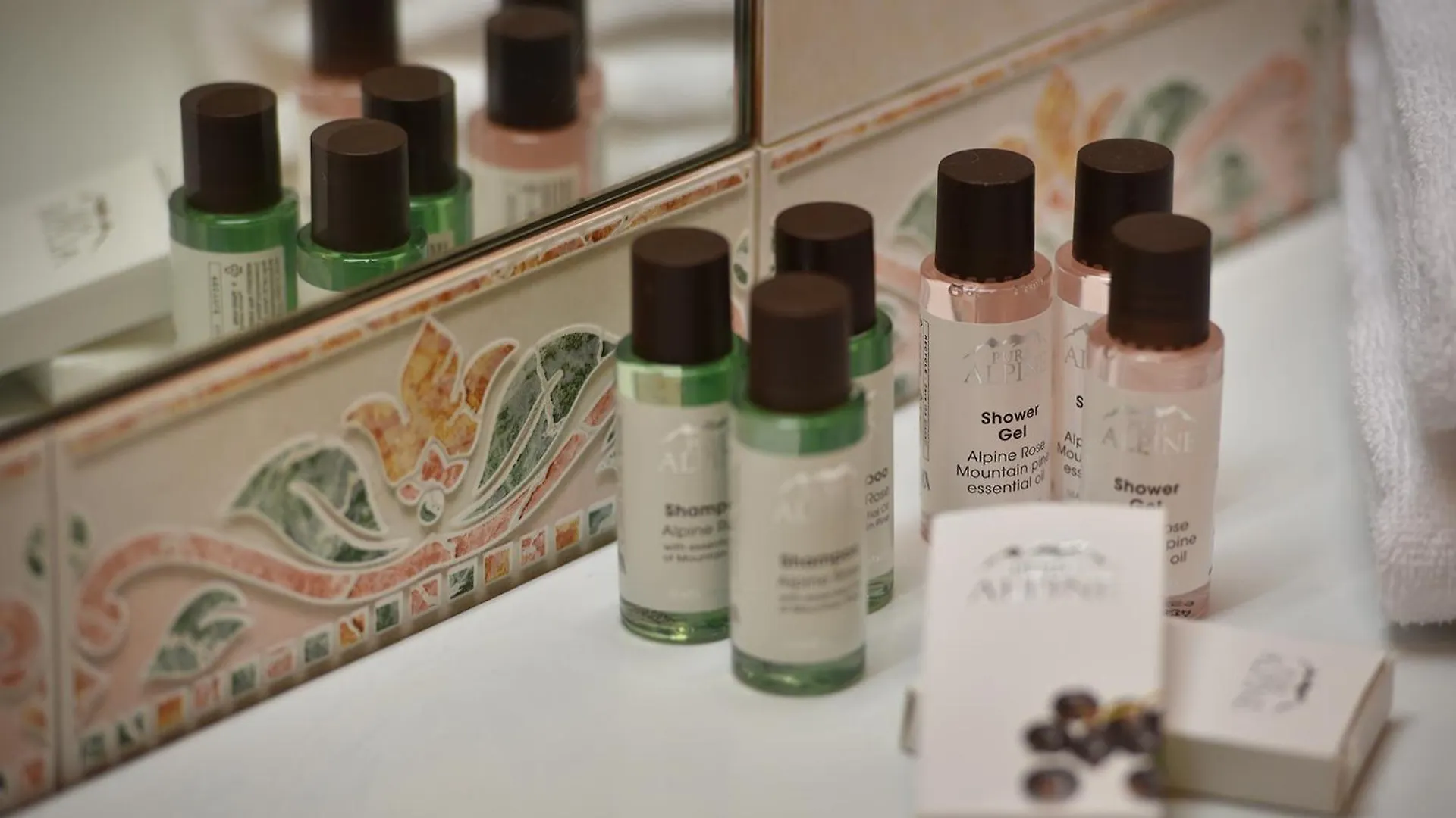 Hotel Primula 利维尼奥