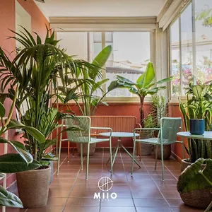 Miio 3*, San Vincenzo Italy